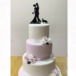 Nicky Walker Cakes - @nickywalkercakes - Instagram