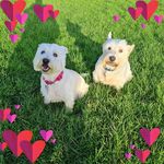 Nicky Ward - @nicky.ward19 - Instagram