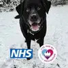 nickyward293 - @nickyward293 - TikTok