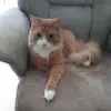 nickyward67 - @nickyward67 - TikTok