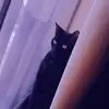 hoonenico - @hoonenico - TikTok