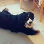 @nico.hurst2019 - Instagram
