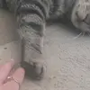 Nicole white - @nicole.white21 - TikTok