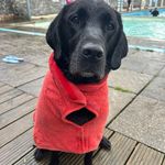 Nicola Beard - @nico.labeard - Instagram