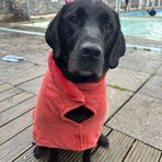Nicola Beard - Facebook