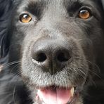 Nicola Bishop - Facebook