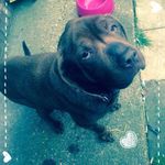 Nicola Clements - @nicola1850 - Instagram