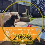 Nicola Clements - @nicolac962 - Instagram