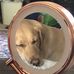 Nicola Fuller - Facebook