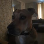 Nicola Harding - @nicola.harding.526 - Instagram