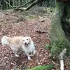 Nicola Orr - @nicola.orr2 - TikTok