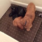 Nicola Orr - Facebook
