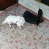 Nik - @nicola.orr1 - TikTok