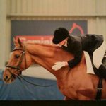 Nicola Porter - @nic_porter1 - Instagram