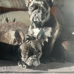 Nicola Roach - Facebook