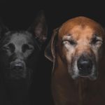 Nicola Stephens - @nixiebegood - Instagram