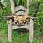 Nicola Stuart - @nicola.stuart.3576 - Instagram