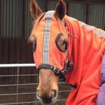 Nicola Stuart - @nsps123 - Instagram