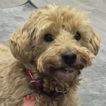 Nicola Stuart - @nicola.stuart.737 - Instagram