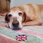 Nicola Sutton - Facebook