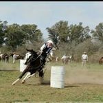 Nicolas Arroyo - @nicolas.arroyo.1048554 - Instagram
