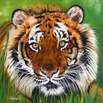 Nicolas Bobo - @nicolas.bobo.9655 - Instagram