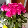 textraño amor - @nicolasabotello - TikTok
