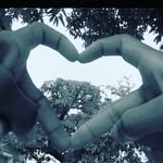 Nicolás Brandon - @nicolasbrandon40 - Instagram