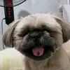Nicolas Bryan Tisado - @nicolasbryantisad - TikTok
