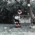 Matthew Nicolas Carter - @mattncarter - Instagram