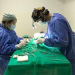 nicolas cohen - @nicolas.cohen.veterinario - Instagram