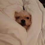 Nicolás Corrales Posada - @nicolascorralesp - Instagram