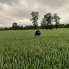 Nicolas_cuevas22 - @nicolas_cuevas22 - TikTok