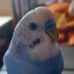 Nicolas Detry - Facebook