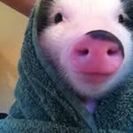 Nicolas Keller - @nicolaskeller6632 - Instagram