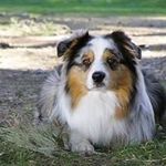 Nicolas Ferrante - @nicolas.ferrante.184 - Instagram