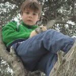 Nicolas Galvez - @nicolasgalvez - Instagram