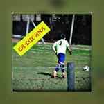 Nicolas Gamboa - @nicolas.gamboa.7 - Instagram