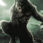 Nicolas Giles - @nicolas.giles.562 - Instagram