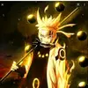 nicolas555gold - @nicolas555gold - TikTok