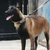 Grey Nicolas - @grey.nicolas - TikTok