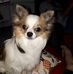 Nicolas Hahn - Facebook
