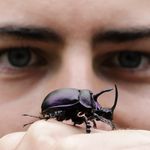 Nicolas HÉBERT - @nicolas_hbrt_photo - Instagram