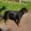 nickx - @nicolasherbert938 - TikTok