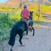 Nicolas Ignacio  - @nicolas_ignacio02 - TikTok