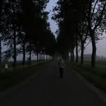 Nico - @__nicolasjansen - Instagram