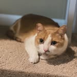 Nicolas Jiang - @nicolas_diary_0331 - Instagram