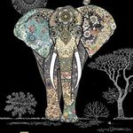 Nicolas JOUBERT - @nicoenbretagne - Instagram