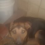 Nicolas Killian - Facebook