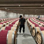 Nicolas Kim - @_nicolaskim - Instagram